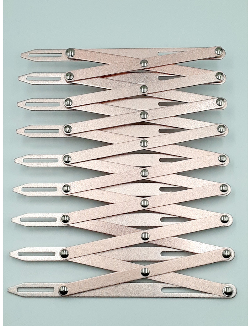 JAUGE EXTENSIBLE ROSE 9 BOUTONNIERES