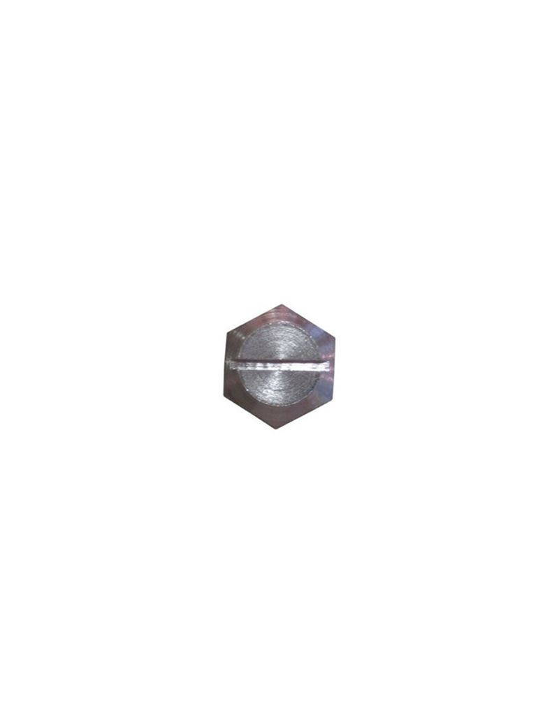 VIS DE LAME DS501 5042