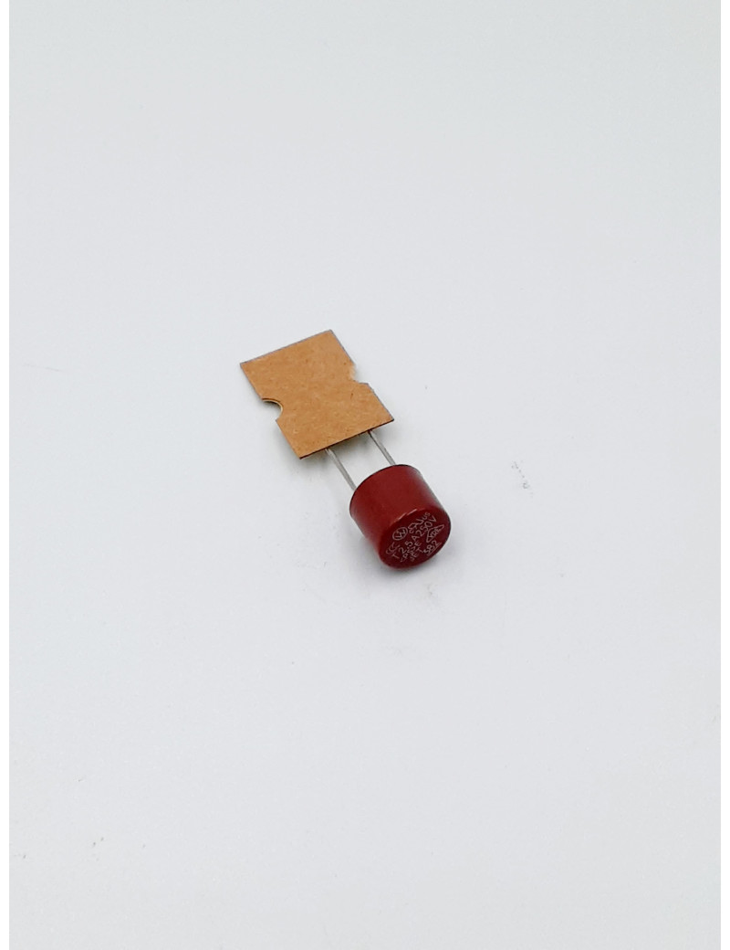 FUSIBLE 2,5 A
