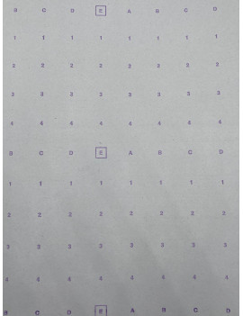 PAPIER REPERE LAIZE 154CM/300 ML - PRTE7