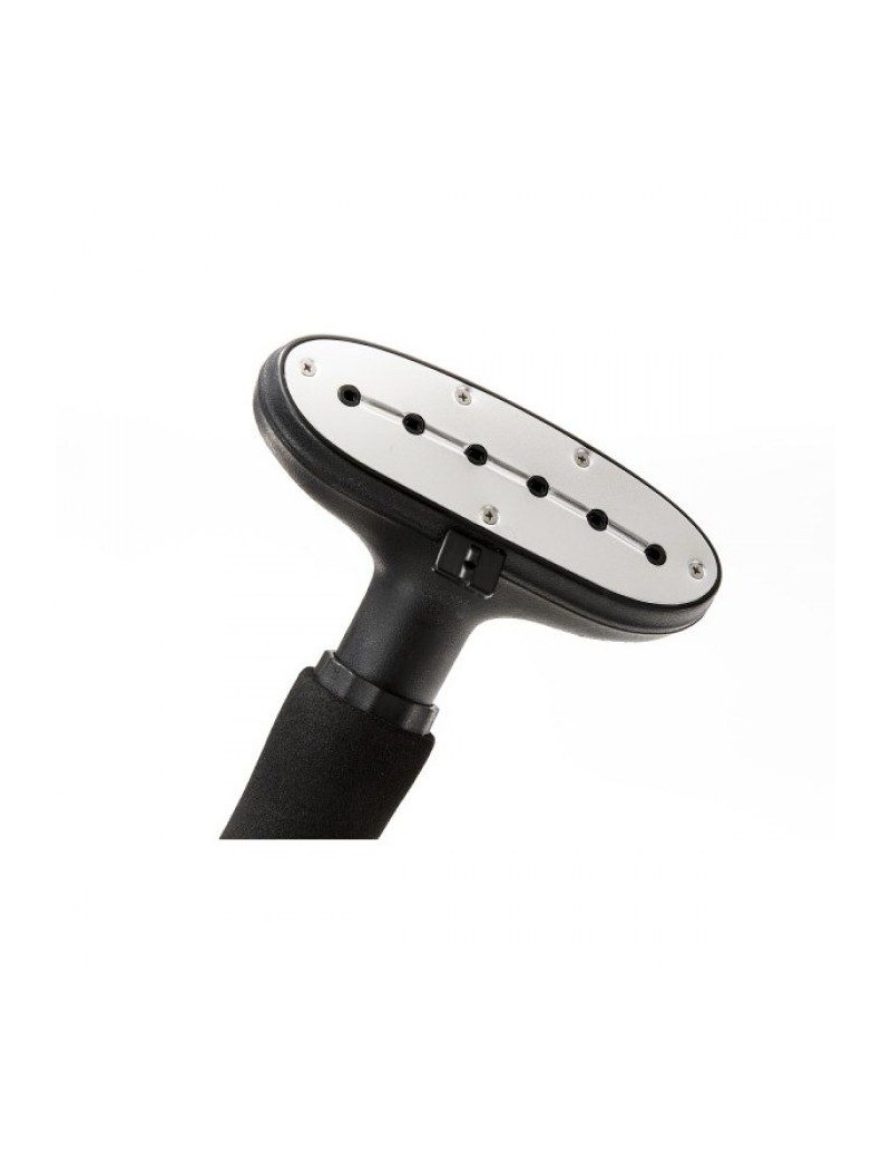 Steamer Pro 2000 Avec Variateur 3 Positions